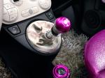 Fiat 500 Barbie Edition 2009 года
